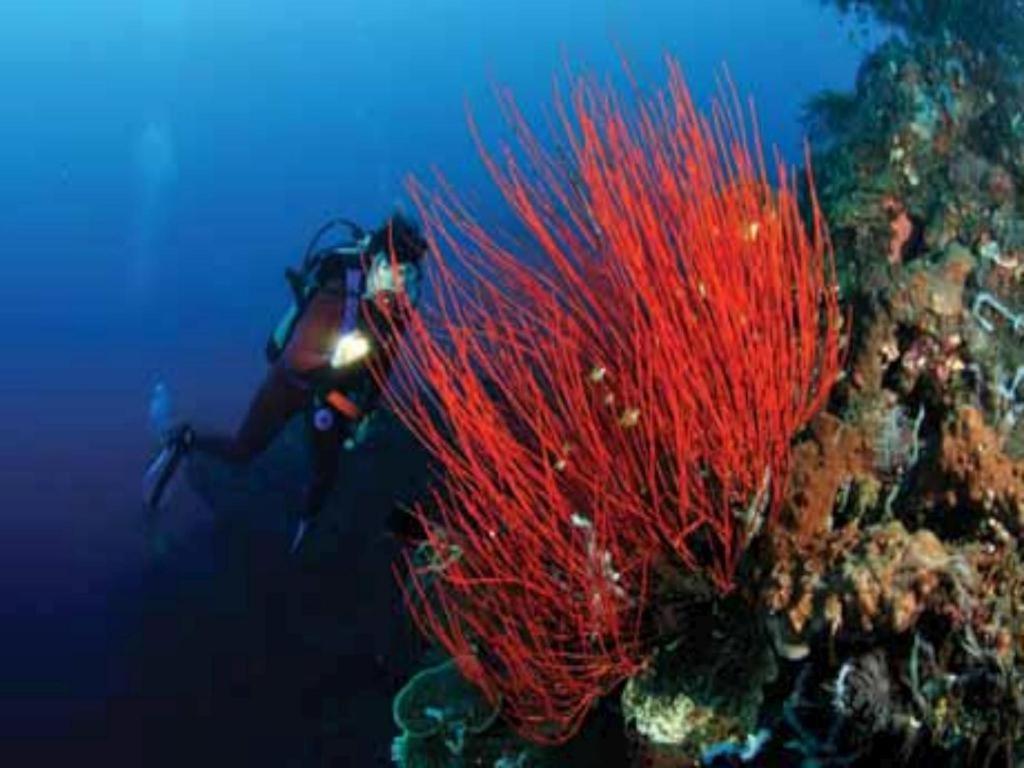 Tulamben Wreck Divers Resort & Restaurant Exterior photo