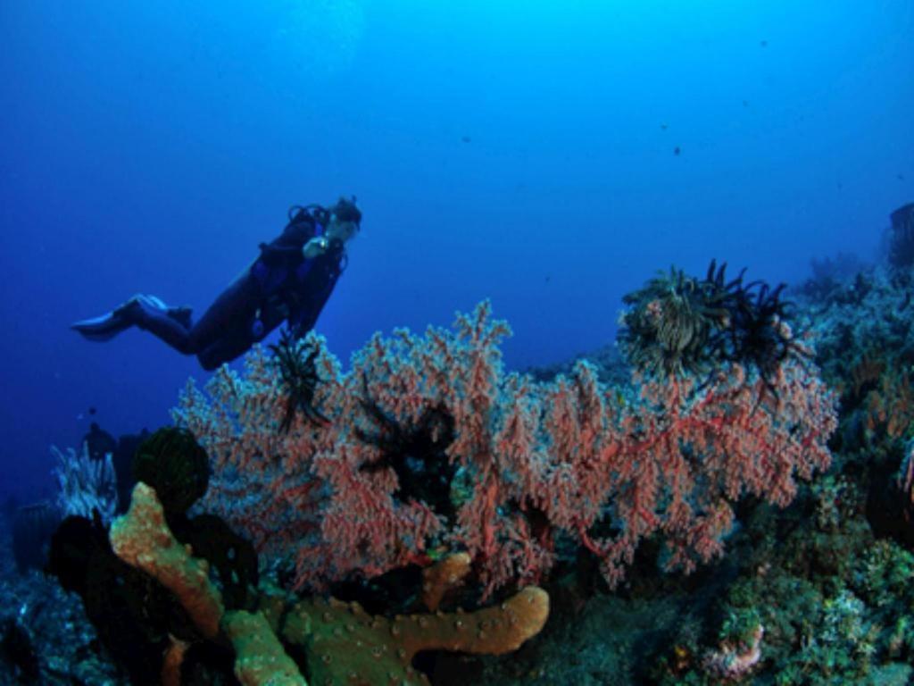 Tulamben Wreck Divers Resort & Restaurant Exterior photo