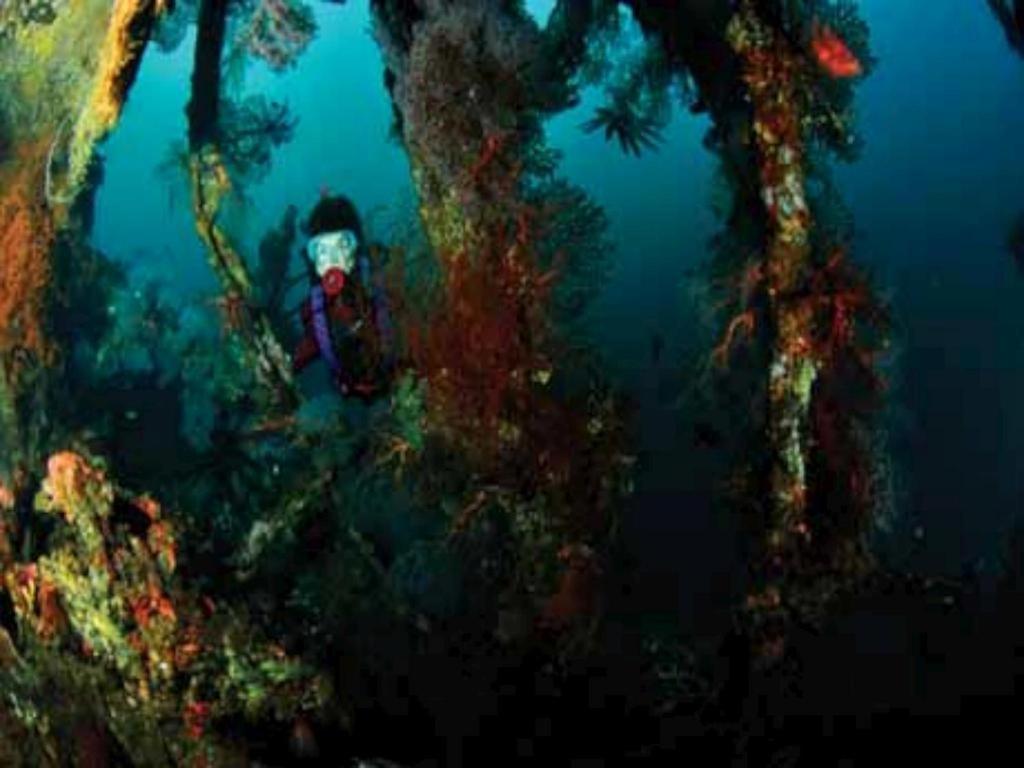 Tulamben Wreck Divers Resort & Restaurant Exterior photo